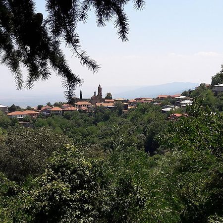 Goga Guesthouse Sighnaghi Εξωτερικό φωτογραφία