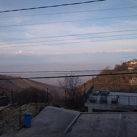 Goga Guesthouse Sighnaghi Εξωτερικό φωτογραφία