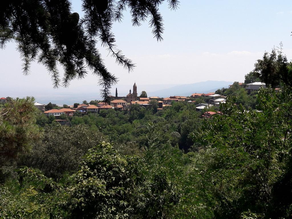 Goga Guesthouse Sighnaghi Εξωτερικό φωτογραφία