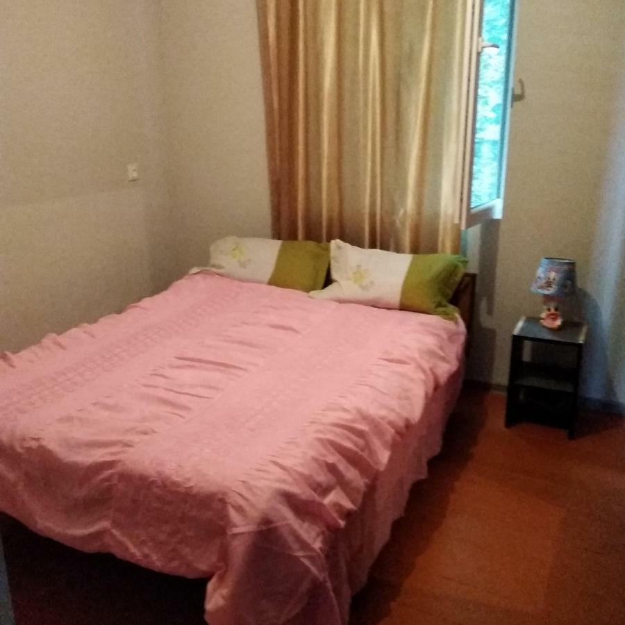 Goga Guesthouse Sighnaghi Εξωτερικό φωτογραφία